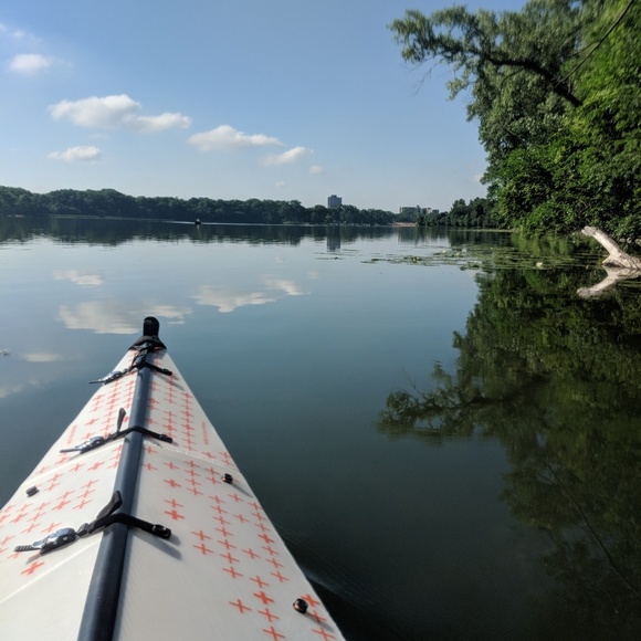 Meet Nicki - Picture 6 of 8